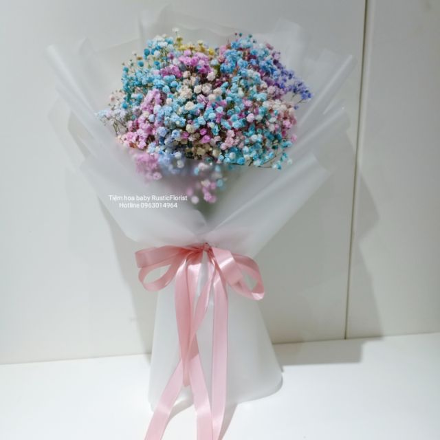 Bó hoa baby rainbow Ecuador, quà tặng ý nghĩa
