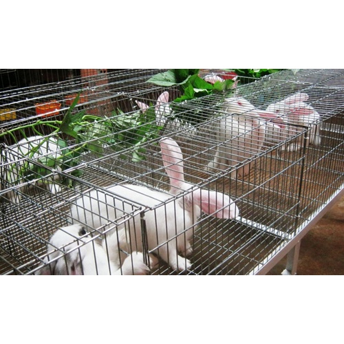Lồng 6 ô nuôi thỏ thịt dài 120cm, rộng 50cm, cao 40cm, gồm 6 ô, mỗi ô rộng 20cm.