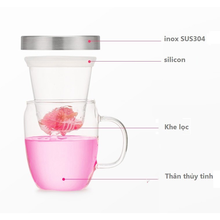 Ly lọc trà thủy tinh 360ml - 500ml