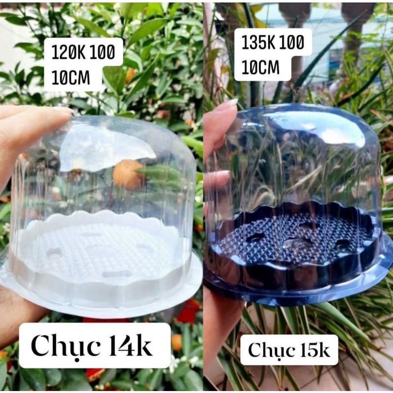 Hộp đế tròn đựng xôi, thạch có nắp trắng đen, lọt lòng 10cm( hộp H15)