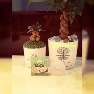 [Gia Lai] Quà Du Lịch Xứ Dừa