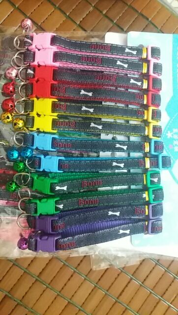 Vòng cổ 2 lớp cho chó mèo