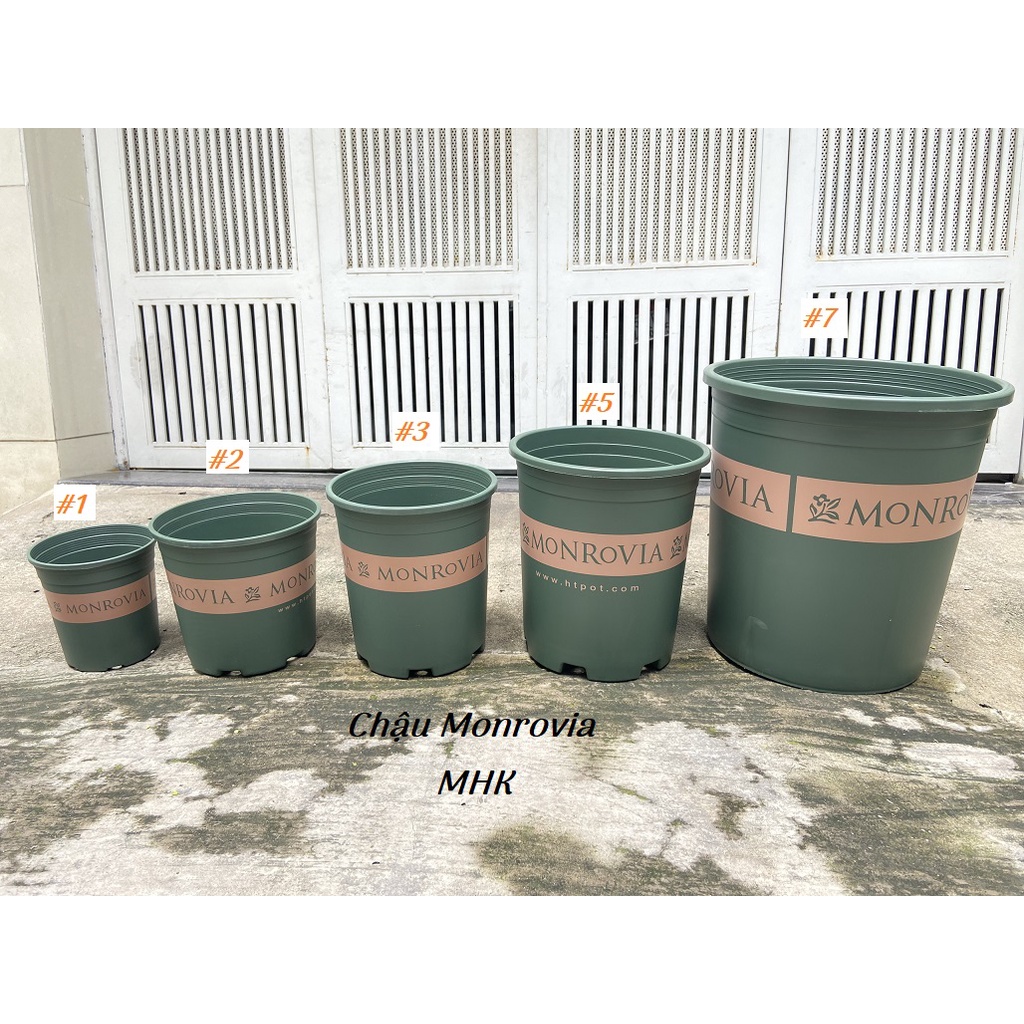 Chậu Monrovia Size 1 2 3 (hàng chuẩn, nhập khẩu) ! Trồng hoa hồng , cây kiểng !