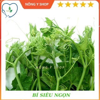 Gói 20g - Túi zip 4 hạt - Hat giống bí siêu ngọn Rạng Đông - RADO 012- 20g