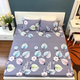 Bộ ga và đôi vỏ gối (Có bán rời)