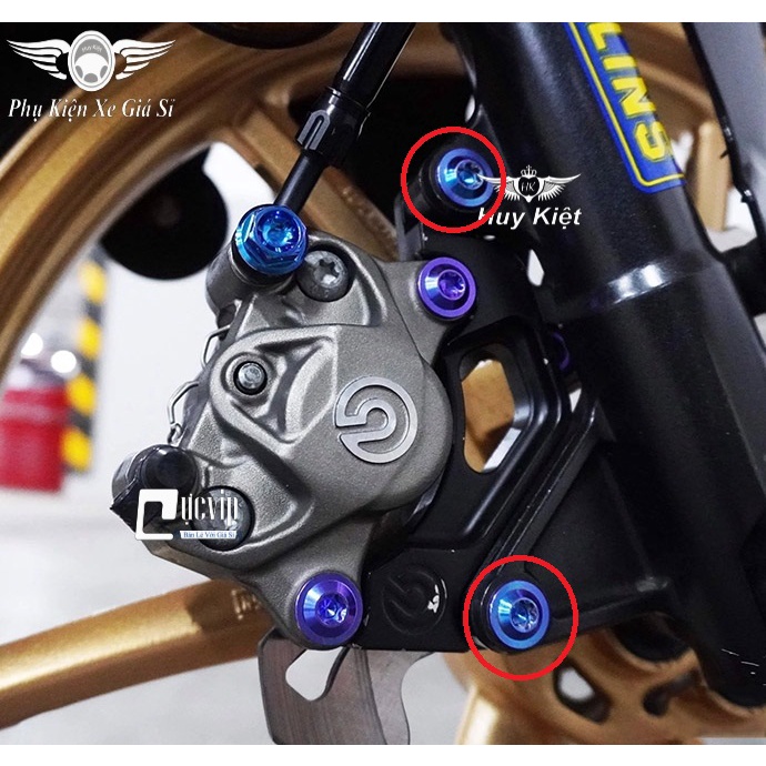 Ốc Titan GR5 10Li23 Gắn Pat Heo Dầu Trước Dòng Xe Yamaha MS5043