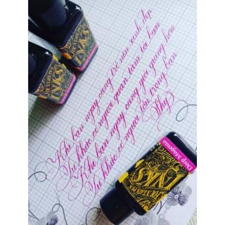 Mực nhanh khô Diamine 30ml Anh Quốc