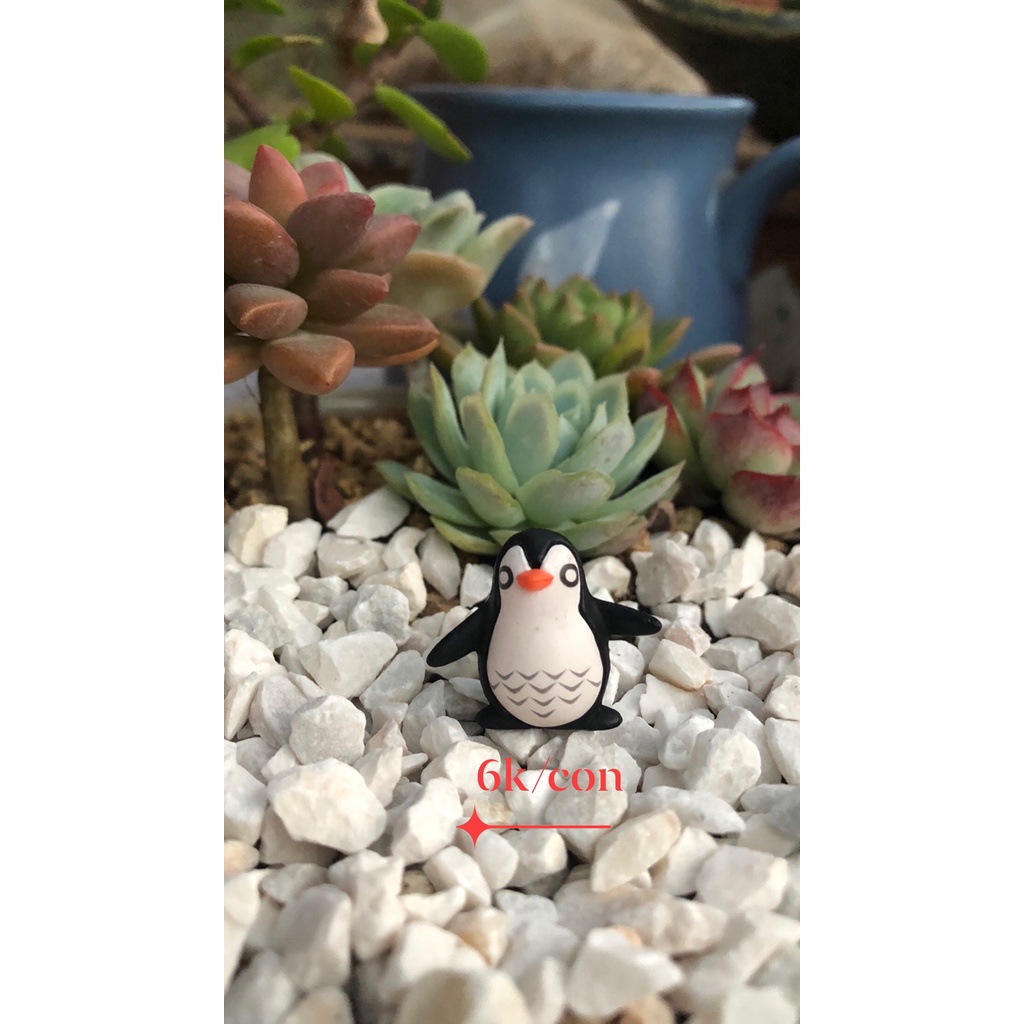 Phụ kiện sen đá các loại siêu dễ thương