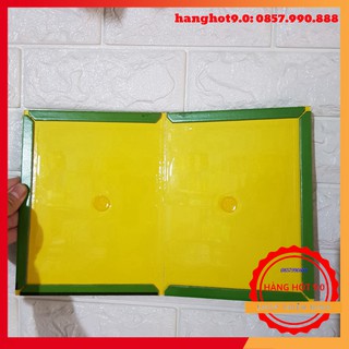 Combo 10 miếng dính chuột cao cấp