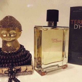Nước hoa Hermes Terre Edt 100ml