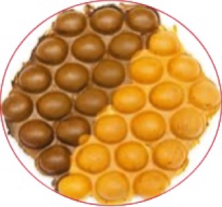 Bột làm bánh trứng gà non ( socola)