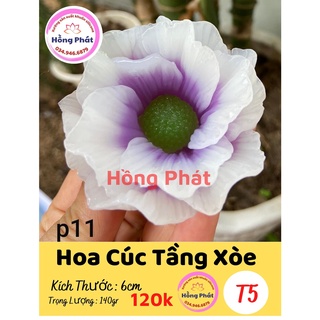 Khuôn silicon hoa cúc tầng xòe - T05 - Silicon Hồng Phát