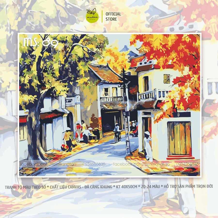Tranh tô màu theo số Phố cổ 89