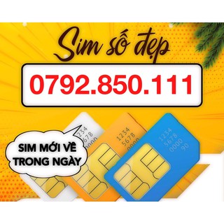 SIM SỐ ĐẸP SIM TAM HOA 111