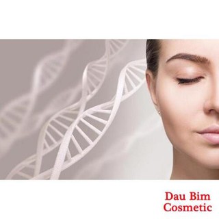 Serum tế bào gốc Eldas Hàn Quốc - YLDB