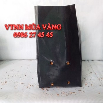 Bọc Ươm Cây Trồng | Bầu ươm cây giống | Ươm hạt giống miệng 8 cao 16cm 200gam 21k