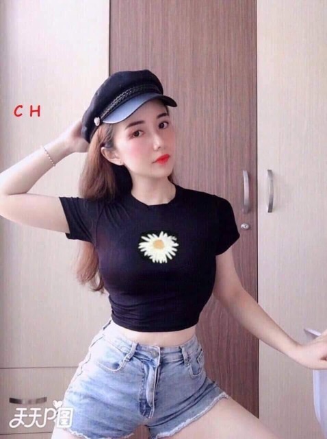 Áo croptop hoa cúc không chữ COH0220