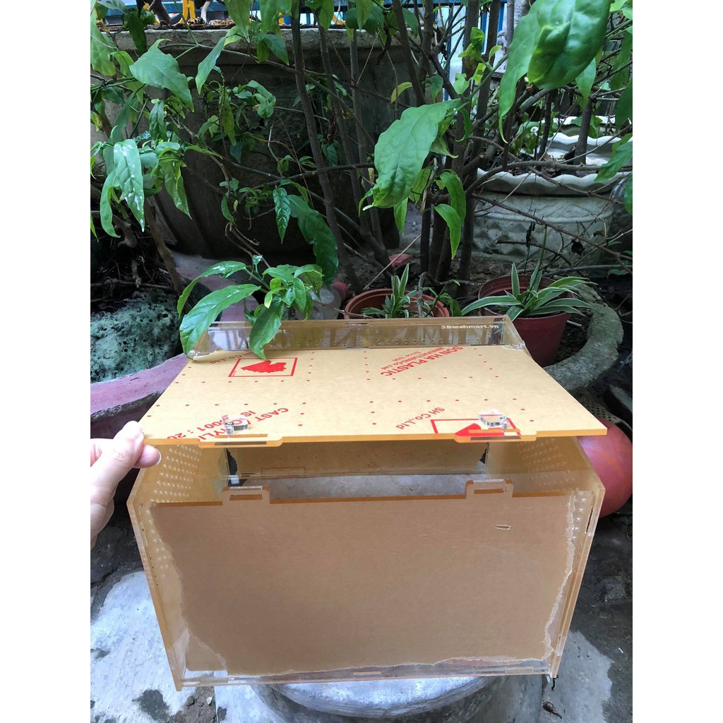 Hộp Nuôi Nhện/ Rết/ Rùa/ Ếch/ LG/bò sát...mica cao cấp 30x20x20