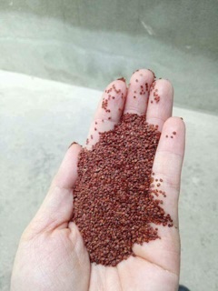 Ngũ hoa hạt nhà làm 100g