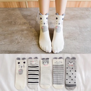 Set 5 đôi tất người lớn dày dặn cực kì kute a0114