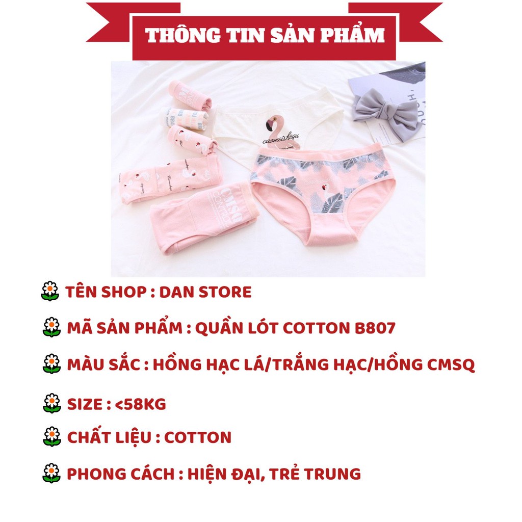 Quần Lót Nữ - Quần Lót Nữ Cotton kháng khuẩn mềm mại dễ thương tông hồng Flamingo DAN STORE MÃ B807
