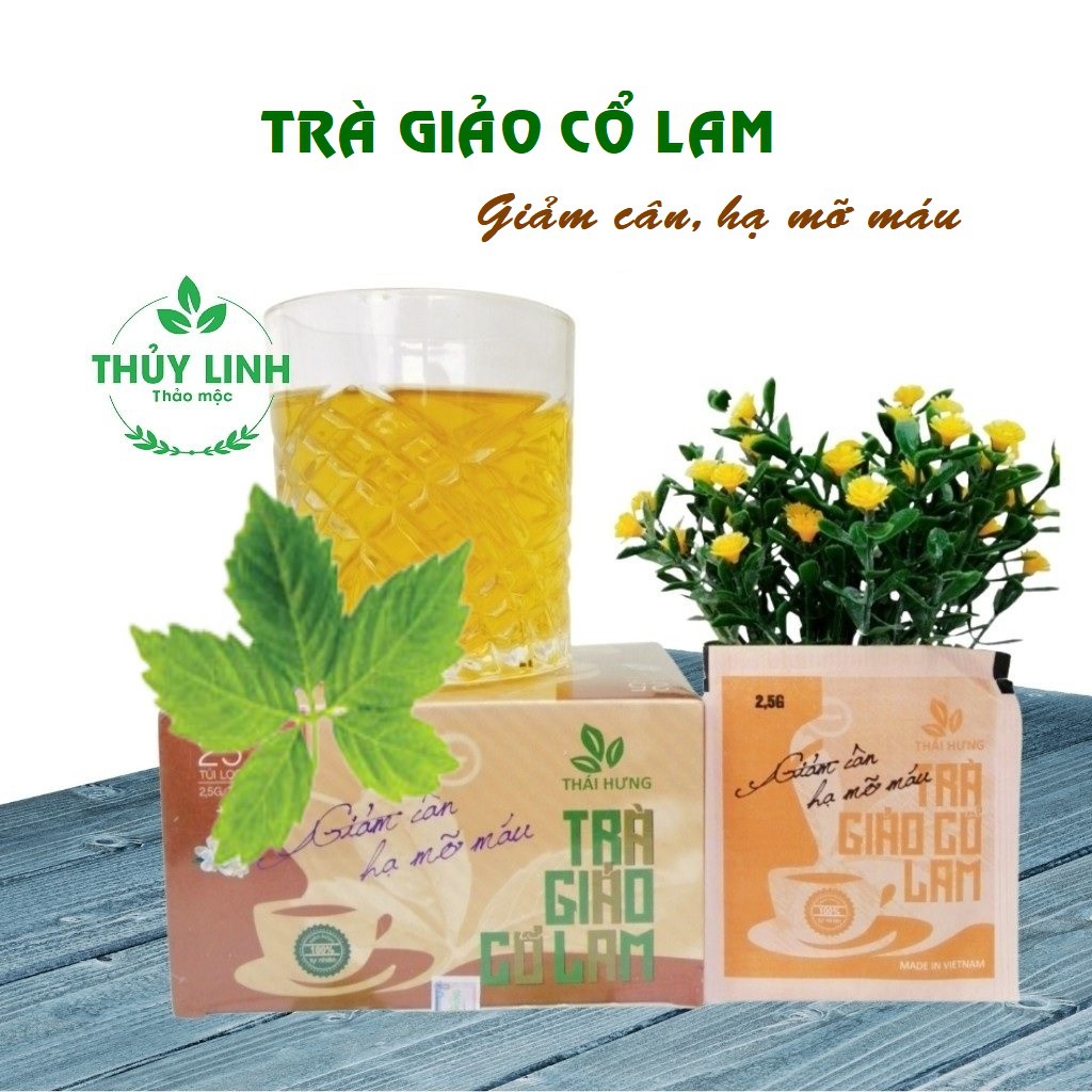 Trà Giảo cổ Lam Thái Hưng - Hộp 25 túi lọc 2,5g (NEW) - Giảm cân, Hạ mỡ máu