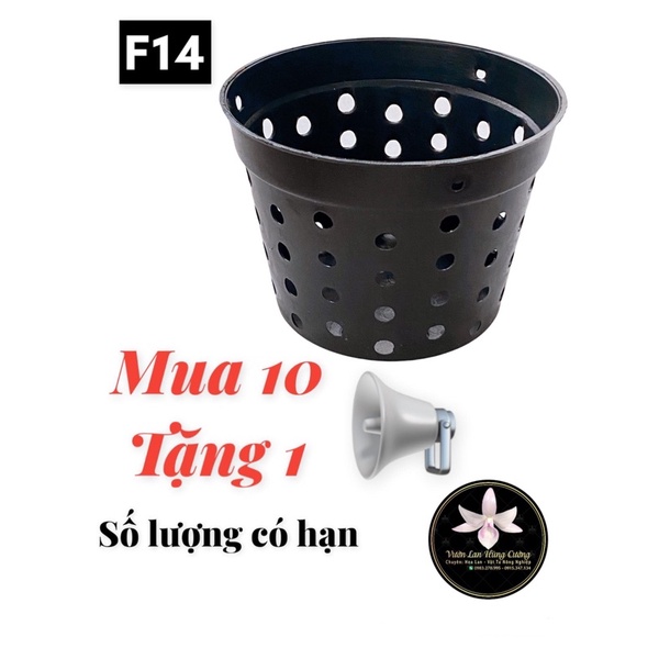 CHẬU LAN ĐEN NHIỀU LỔ F14, F17, F19