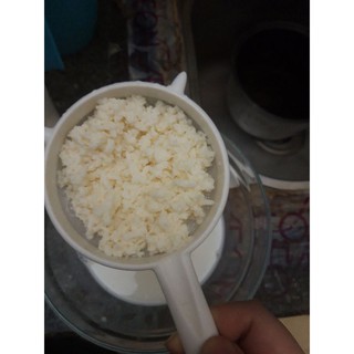 100 gram nấm sữa Kefir