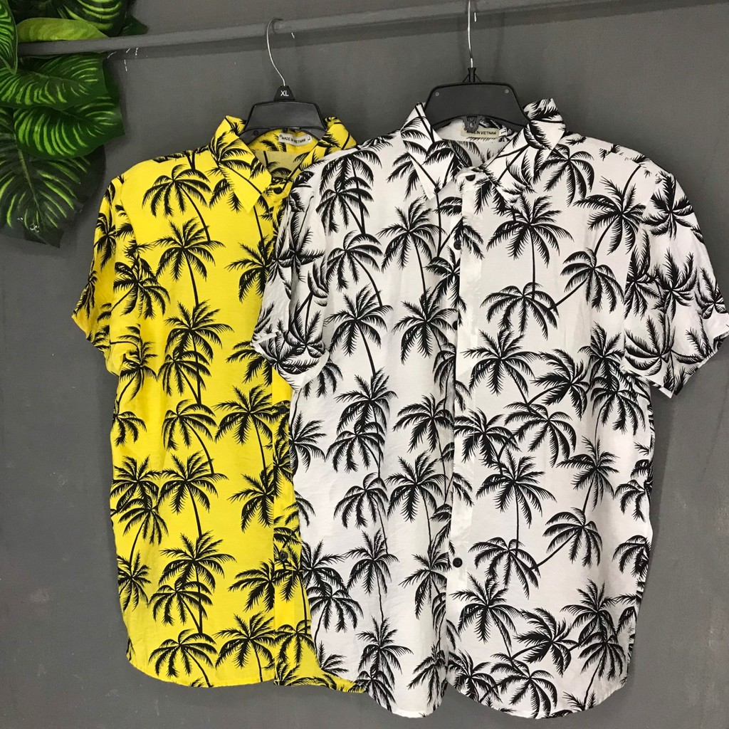 Áo Sơ Mi Đi Biển Nhóm Vải Mềm Mát Có Bigsize ★ Cây dừa | BigBuy360 - bigbuy360.vn
