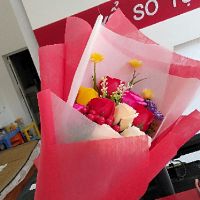 Combo bó hoa 9 bông nhiều màu