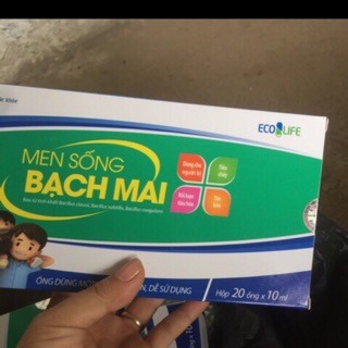 Combo 20 hộp men sống bạch mai
