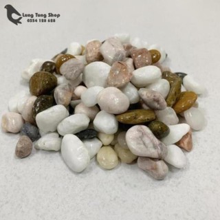 Đá sỏi hỗn hợp ( chọn size )