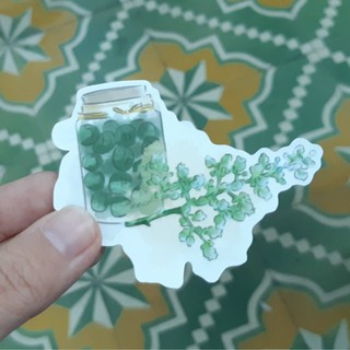 Sticker 12 mùa hoa
