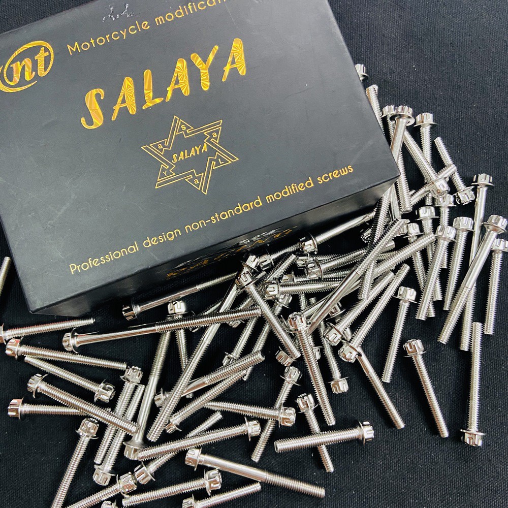 ỐC SALAYA 6LY ĐẦY ĐỦ CÁC SIZE GẮN LỐC MÁY, DÀN ÁO, ỐP PÔ XE MÁY