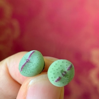 Cây Conophytum bilobum