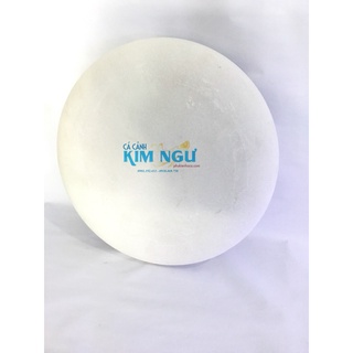 Nấm Đáy Đá Nguyên Khối Cho Hồ Cá Koi 30cm