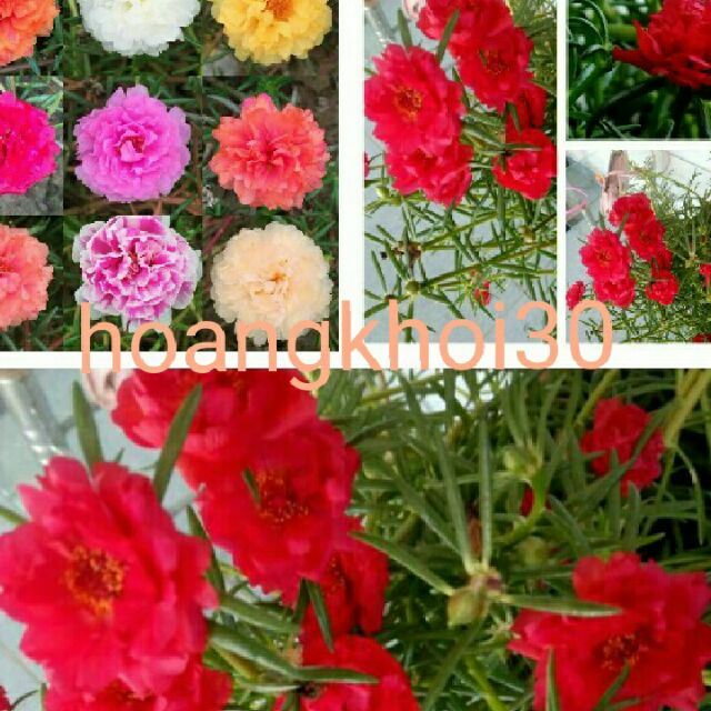 Mười giờ mix màu