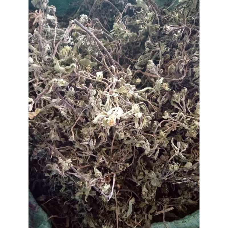 cây cỏ mực khô(cây nhọ nồi 1kg)