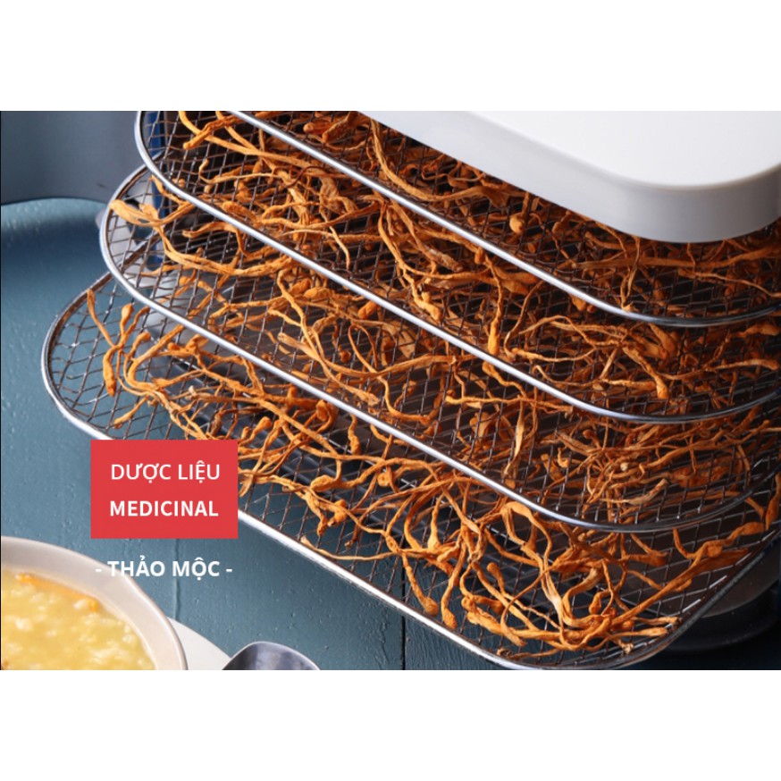 Máy Sấy Thực Phẩm Morphy Richards MR6255 HÀNG CÓ SẴN