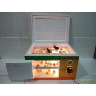 Máy ấp trứng đảo tay 250 trứng PGA