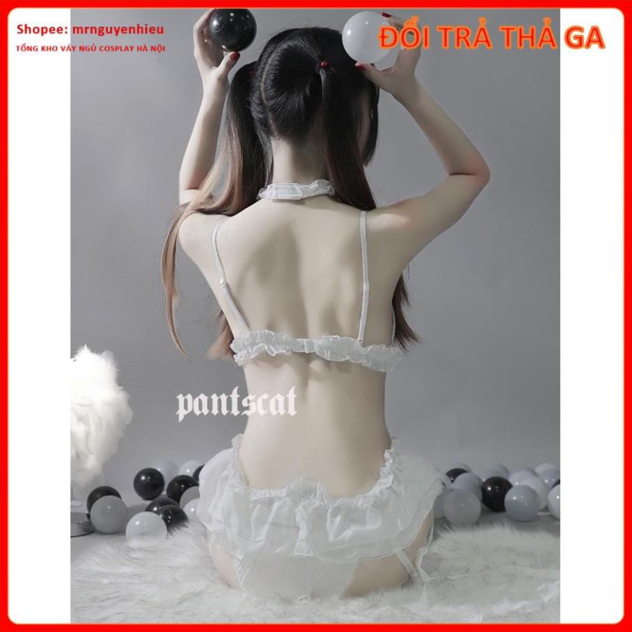 Bộ đồ ngủ cosplay sexy, bộ đồ lót cosplay thú cưng, bikini gợi cảm quyến rũ - Hà Nội  - QUIN BEE | BigBuy360 - bigbuy360.vn