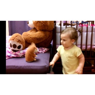 đồ chơi chuột Hamster biết nói