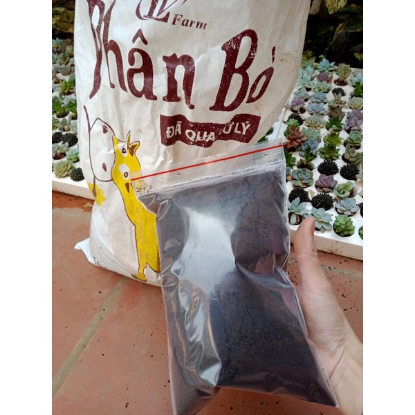 Phân Bò đã qua xử lí dạng mùn - NeyuhGarden