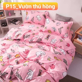 Sét chăn ga gối cotton poly