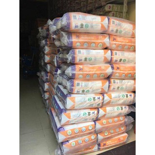 (Quà) Bỉm Jo Tã Quần L36, S24, M22, L20