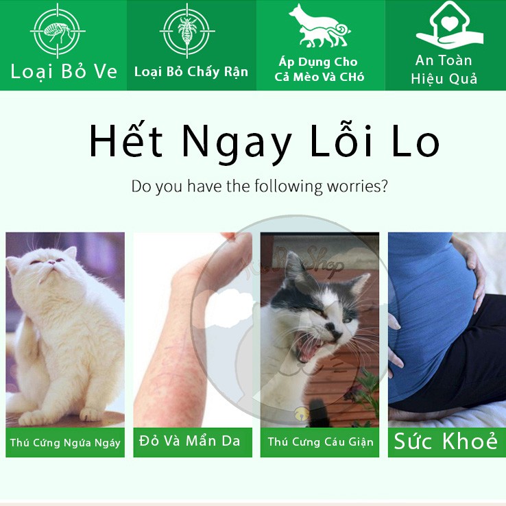 Trị Bọ Nhỏ Gáy Đài Loan