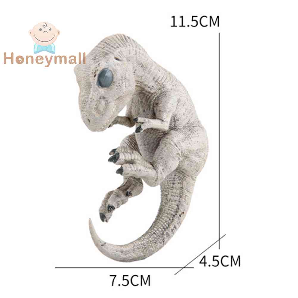 ❀Mô Hình Khủng Long Tyrannosaurus Rex Velociraptor Cho Bé