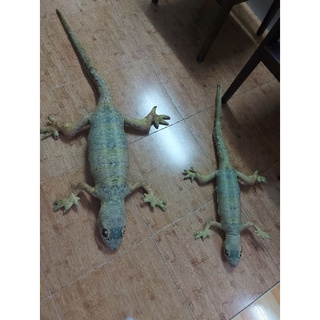 Gối thằn lằn 3D