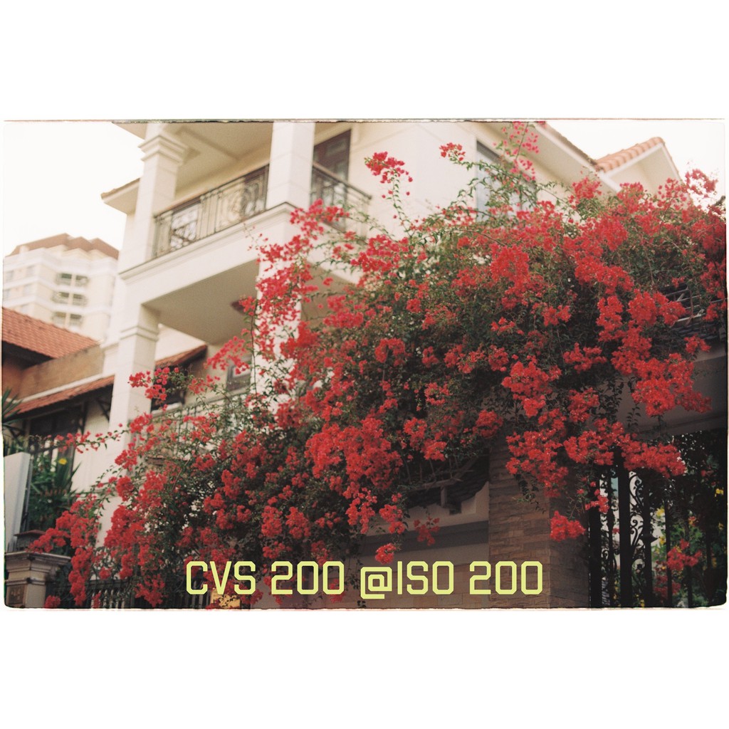 - Film 135  giá rẻ, 24 kiểu, hàng US