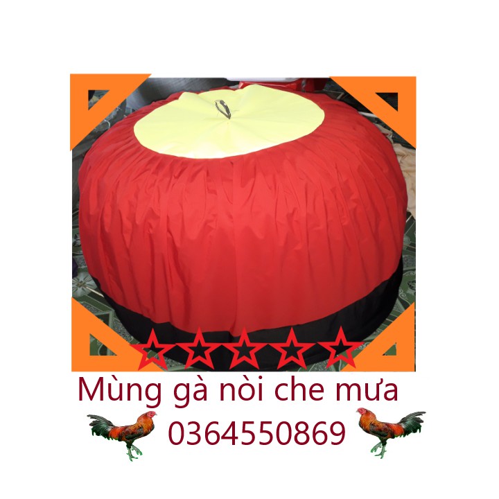 Mùng trùm bội gà che mưa gà nòi gà chọi.